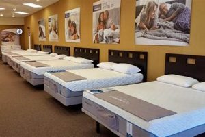 Best Mattress Store Salem Oregon: Sleep Better Here! Organic & Natural Mattress Buyer’s Guide: Non-Toxic Sleep Solutions Best Mattress Store Salem Oregon: Sleep Better Here! | Organic & Natural Mattress Buyer’s Guide: Non-Toxic Sleep Solutions