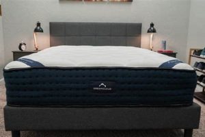 Discover Dream Cloud Mattress Store: Best Sleep Awaits Organic & Natural Mattress Buyer’s Guide: Non-Toxic Sleep Solutions Discover Dream Cloud Mattress Store: Best Sleep Awaits | Organic & Natural Mattress Buyer’s Guide: Non-Toxic Sleep Solutions