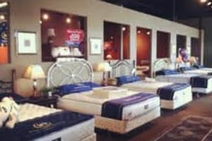 Best Mattress Stores in Grand Junction: Comfort & Value Organic & Natural Mattress Buyer’s Guide: Non-Toxic Sleep Solutions Best Mattress Stores in Grand Junction: Comfort & Value | Organic & Natural Mattress Buyer’s Guide: Non-Toxic Sleep Solutions