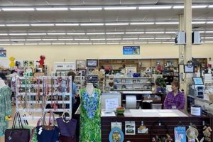 Buy Smart: St Vincent de Paul Mattress Thrift Store Deals Organic & Natural Mattress Buyer’s Guide: Non-Toxic Sleep Solutions Buy Smart: St Vincent de Paul Mattress Thrift Store Deals | Organic & Natural Mattress Buyer’s Guide: Non-Toxic Sleep Solutions