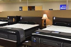 Best Mattress Stores Santa Rosa: Your Sleep Starts Here! Organic & Natural Mattress Buyer’s Guide: Non-Toxic Sleep Solutions Best Mattress Stores Santa Rosa: Your Sleep Starts Here! | Organic & Natural Mattress Buyer’s Guide: Non-Toxic Sleep Solutions
