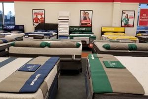 Find Best Mattress Store Jacksonville FL Near You Organic & Natural Mattress Buyer’s Guide: Non-Toxic Sleep Solutions Find Best Mattress Store Jacksonville FL Near You | Organic & Natural Mattress Buyer’s Guide: Non-Toxic Sleep Solutions