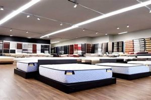 Ocala Mattress Store: Your Sleep Starts Here Organic & Natural Mattress Buyer’s Guide: Non-Toxic Sleep Solutions Ocala Mattress Store: Your Sleep Starts Here | Organic & Natural Mattress Buyer’s Guide: Non-Toxic Sleep Solutions