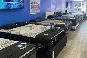 Best Mattress Stores Palm Desert: Your Sleep Starts Here | Organic & Natural Mattress Buyer’s Guide: Non-Toxic Sleep Solutions