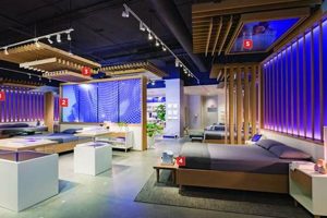 Find Your Purple Mattress Store: Location & Comfort! Organic & Natural Mattress Buyer’s Guide: Non-Toxic Sleep Solutions Find Your Purple Mattress Store: Location & Comfort! | Organic & Natural Mattress Buyer’s Guide: Non-Toxic Sleep Solutions