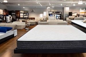 Best Mattress Stores Tampa: Shop & Save! Organic & Natural Mattress Buyer’s Guide: Non-Toxic Sleep Solutions Best Mattress Stores Tampa: Shop & Save! | Organic & Natural Mattress Buyer’s Guide: Non-Toxic Sleep Solutions