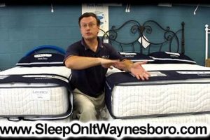 Best Mattress Stores in Charlottesville, VA: [Sleep Better!] | Organic & Natural Mattress Buyer’s Guide: Non-Toxic Sleep Solutions