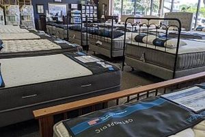 Find Best Mattress Stores in Virginia Beach Near You | Organic & Natural Mattress Buyer’s Guide: Non-Toxic Sleep Solutions