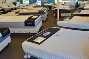 Best Mattress Stores in Plano TX: Sleep Soundly Tonight! Organic & Natural Mattress Buyer’s Guide: Non-Toxic Sleep Solutions Best Mattress Stores in Plano TX: Sleep Soundly Tonight! | Organic & Natural Mattress Buyer’s Guide: Non-Toxic Sleep Solutions