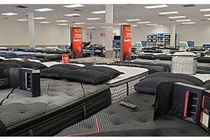 Best Mattress Stores in Raleigh, NC: Find Your Dream Bed | Organic & Natural Mattress Buyer’s Guide: Non-Toxic Sleep Solutions