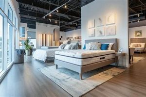 Find the Best Mattress Stores in Galveston, TX + Deals! | Organic & Natural Mattress Buyer’s Guide: Non-Toxic Sleep Solutions