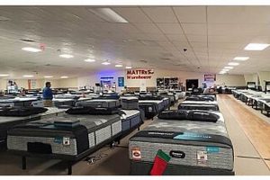 Best Mattress Stores Near Fayetteville, NC: Shop & Save! Organic & Natural Mattress Buyer’s Guide: Non-Toxic Sleep Solutions Best Mattress Stores Near Fayetteville, NC: Shop & Save! | Organic & Natural Mattress Buyer’s Guide: Non-Toxic Sleep Solutions