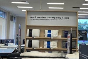 Find Quality Mattresses at Dothan Mattress Stores Near You Organic & Natural Mattress Buyer’s Guide: Non-Toxic Sleep Solutions Find Quality Mattresses at Dothan Mattress Stores Near You | Organic & Natural Mattress Buyer’s Guide: Non-Toxic Sleep Solutions