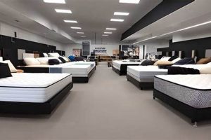 Find Best Mattress Stores in New York City Today! Organic & Natural Mattress Buyer’s Guide: Non-Toxic Sleep Solutions Find Best Mattress Stores in New York City Today! | Organic & Natural Mattress Buyer’s Guide: Non-Toxic Sleep Solutions