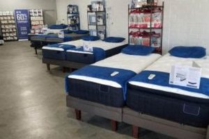 Best Mattress Stores in Fishers, IN: Find Your Perfect Bed! Organic & Natural Mattress Buyer’s Guide: Non-Toxic Sleep Solutions Best Mattress Stores in Fishers, IN: Find Your Perfect Bed! | Organic & Natural Mattress Buyer’s Guide: Non-Toxic Sleep Solutions