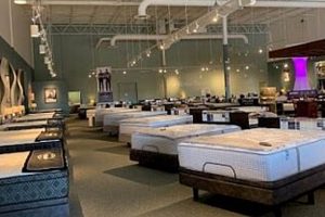 Shop Best Mattress Stores in Fort Wayne, IN Near You Organic & Natural Mattress Buyer’s Guide: Non-Toxic Sleep Solutions Shop Best Mattress Stores in Fort Wayne, IN Near You | Organic & Natural Mattress Buyer’s Guide: Non-Toxic Sleep Solutions