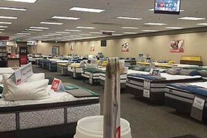 Best Mattress Stores Bakersfield: Your Sleep Starts Here | Organic & Natural Mattress Buyer’s Guide: Non-Toxic Sleep Solutions
