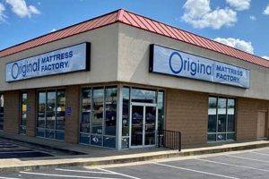 Best Mattress Stores Lancaster Ohio: Your Sleep Starts Here Organic & Natural Mattress Buyer’s Guide: Non-Toxic Sleep Solutions Best Mattress Stores Lancaster Ohio: Your Sleep Starts Here | Organic & Natural Mattress Buyer’s Guide: Non-Toxic Sleep Solutions
