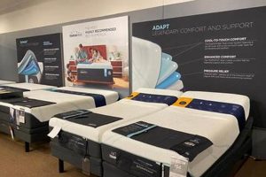 Best Mattress Stores Minot ND: [Your Sleep Solution] | Organic & Natural Mattress Buyer’s Guide: Non-Toxic Sleep Solutions