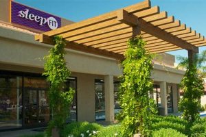 Best Mattress Stores in San Luis Obispo: Sleep Solutions Near You | Organic & Natural Mattress Buyer’s Guide: Non-Toxic Sleep Solutions