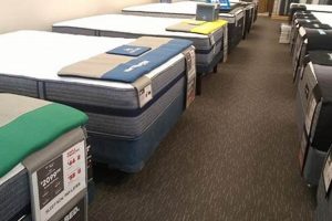 Best Mattress Stores Asheville: Sleep Soundly Here Organic & Natural Mattress Buyer’s Guide: Non-Toxic Sleep Solutions Best Mattress Stores Asheville: Sleep Soundly Here | Organic & Natural Mattress Buyer’s Guide: Non-Toxic Sleep Solutions