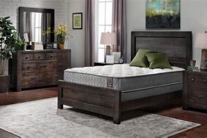Best Mattress Stores Chicago: Your Comfort Source | Organic & Natural Mattress Buyer’s Guide: Non-Toxic Sleep Solutions