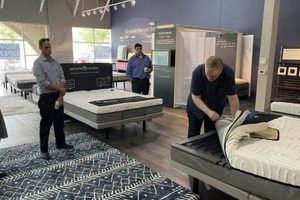 Best Mattress Stores in Kalamazoo, MI: Sleep Better Now! | Organic & Natural Mattress Buyer’s Guide: Non-Toxic Sleep Solutions