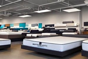 Best Mattress Stores in Anchorage: Sleep Soundly! | Organic & Natural Mattress Buyer’s Guide: Non-Toxic Sleep Solutions