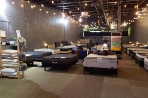 Best Mattress Stores in Tysons, VA: Find Your Perfect Sleep | Organic & Natural Mattress Buyer’s Guide: Non-Toxic Sleep Solutions
