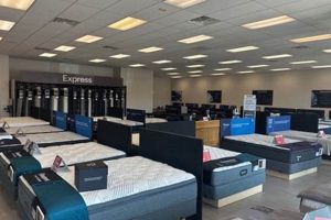 Best Mattress Store Jackson TN: Sleep Better Now | Organic & Natural Mattress Buyer’s Guide: Non-Toxic Sleep Solutions
