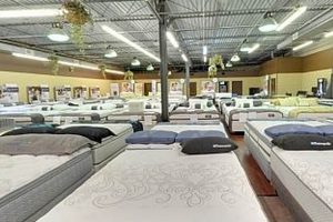 Find Best Mattress Stores in Philadelphia, PA + Deals | Organic & Natural Mattress Buyer’s Guide: Non-Toxic Sleep Solutions