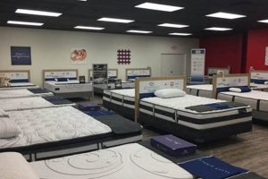Find Best Mattress Stores Albuquerque Near You | Organic & Natural Mattress Buyer’s Guide: Non-Toxic Sleep Solutions