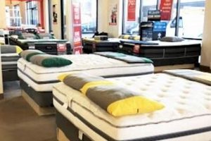 Best Mattress Store Madison, WI: Sleep Better! | Organic & Natural Mattress Buyer’s Guide: Non-Toxic Sleep Solutions