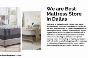 Find Your Dream: Best Mattress Store in Dallas, TX | Organic & Natural Mattress Buyer’s Guide: Non-Toxic Sleep Solutions