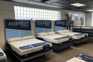 Best Mattress Stores Salt Lake City: Your Sleep Starts Here | Organic & Natural Mattress Buyer’s Guide: Non-Toxic Sleep Solutions