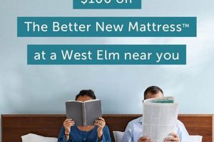 Find a Leesa Mattress Store Near You! Organic & Natural Mattress Buyer’s Guide: Non-Toxic Sleep Solutions Find a Leesa Mattress Store Near You! | Organic & Natural Mattress Buyer’s Guide: Non-Toxic Sleep Solutions