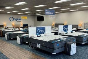 Best Mattress Stores Sarasota FL: Find Your Sleep! | Organic & Natural Mattress Buyer’s Guide: Non-Toxic Sleep Solutions