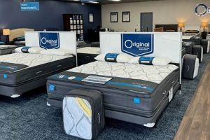 Find Best Local Mattress Stores Sarasota FL: [Year] Guide | Organic & Natural Mattress Buyer’s Guide: Non-Toxic Sleep Solutions