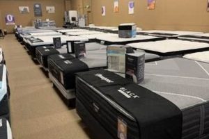 Best Mattress Stores in Reno NV: Sleep Better Today! | Organic & Natural Mattress Buyer’s Guide: Non-Toxic Sleep Solutions