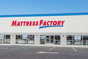 Best Mattress NJ Store: Sleep Better Today! | Organic & Natural Mattress Buyer’s Guide: Non-Toxic Sleep Solutions