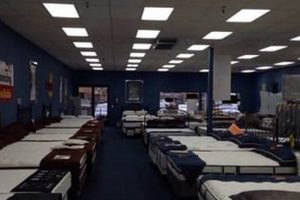 Best Mattress Stores Olympia WA: Sleep Better Now! | Organic & Natural Mattress Buyer’s Guide: Non-Toxic Sleep Solutions