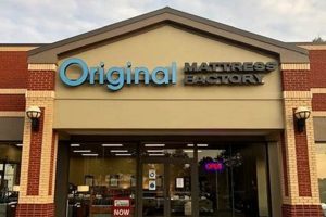 Find Best Mattress Stores in Fredericksburg, VA Near You | Organic & Natural Mattress Buyer’s Guide: Non-Toxic Sleep Solutions