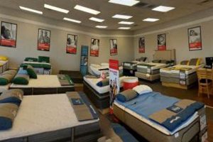 Find Gainesville Mattress Stores: Sleep Better Now! | Organic & Natural Mattress Buyer’s Guide: Non-Toxic Sleep Solutions