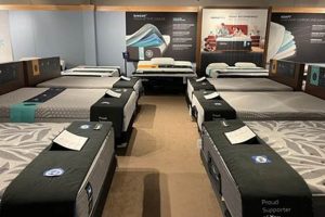 Best Mattress Stores Rockford IL: Sleep Better Tonight! | Organic & Natural Mattress Buyer’s Guide: Non-Toxic Sleep Solutions