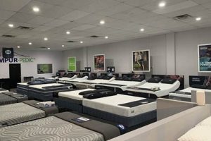 Top Mattress Stores in Wilmington, NC: Sleep Better Tonight! | Organic & Natural Mattress Buyer’s Guide: Non-Toxic Sleep Solutions