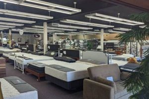 Best Mattress Stores Roseburg, OR: Your Sleep Starts Here | Organic & Natural Mattress Buyer’s Guide: Non-Toxic Sleep Solutions