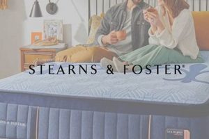 Best Mattress Stores in Boone NC: Shop & Save! | Organic & Natural Mattress Buyer’s Guide: Non-Toxic Sleep Solutions