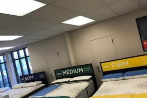 Best Mattress Stores in Bloomington, IN: Sleep Better Now! Organic & Natural Mattress Buyer’s Guide: Non-Toxic Sleep Solutions Best Mattress Stores in Bloomington, IN: Sleep Better Now! | Organic & Natural Mattress Buyer’s Guide: Non-Toxic Sleep Solutions