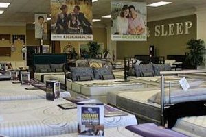 Best Mattress Stores in Savannah: Comfort & Value | Organic & Natural Mattress Buyer’s Guide: Non-Toxic Sleep Solutions