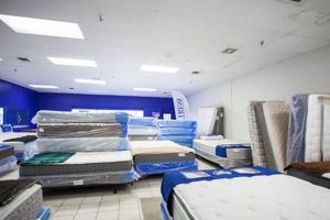 Best Mattress Stores in Traverse City: Sleep Better Now! | Organic & Natural Mattress Buyer’s Guide: Non-Toxic Sleep Solutions